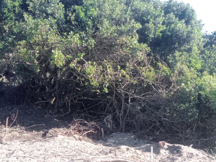 Commercial Property for Sale in Paradise Beach Eastern Cape